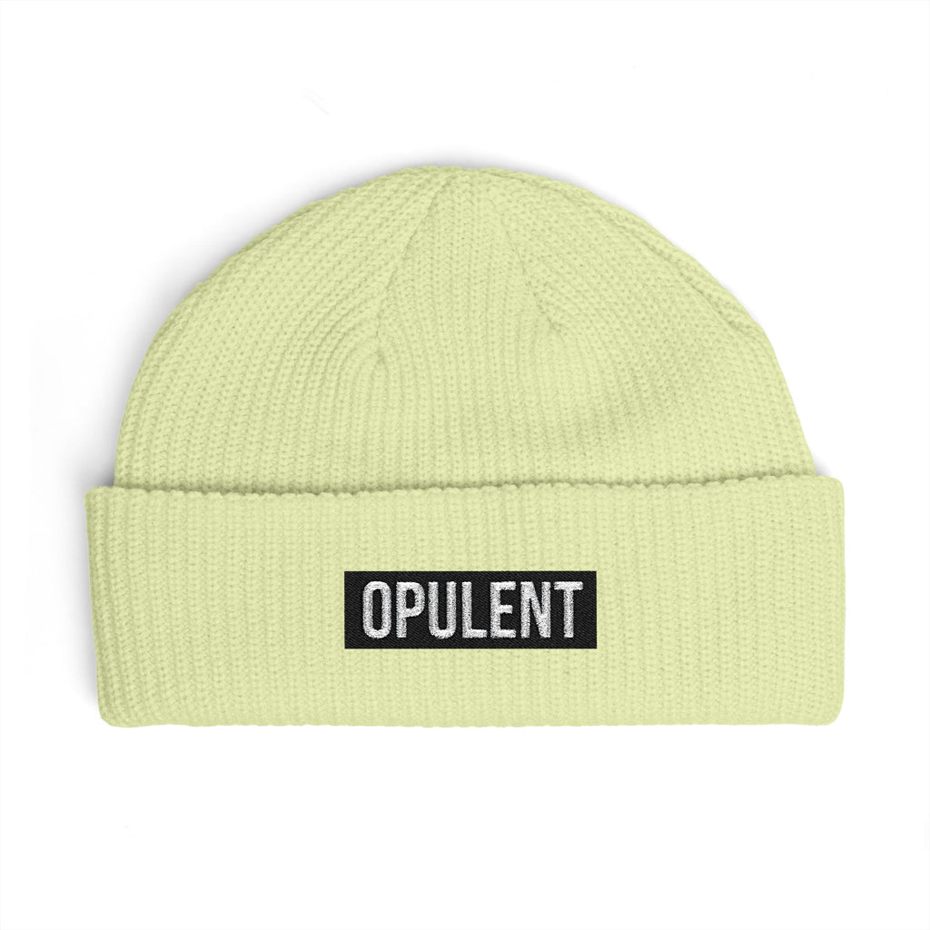Opulent Embroidered Cuff Beanie
