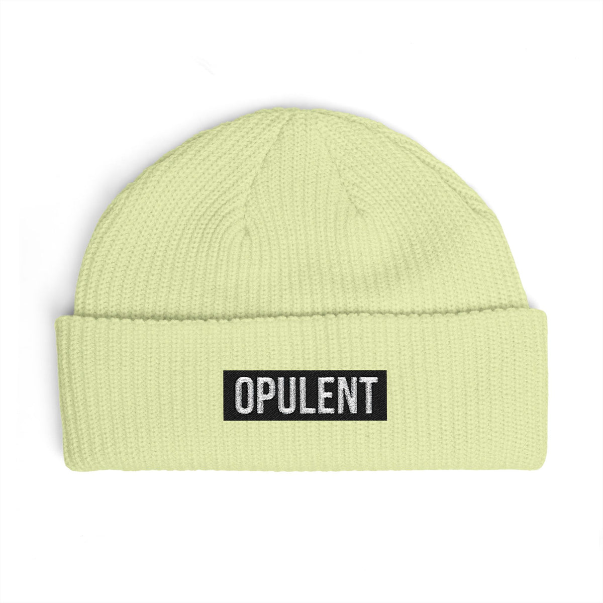 Opulent Embroidered Cuff Beanie